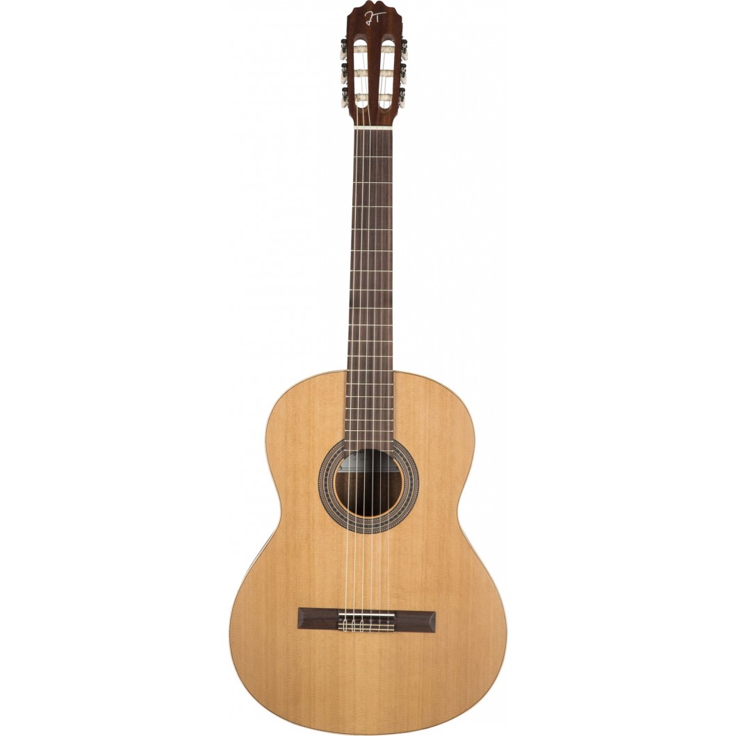 Comprar Guitarra de Principiante al mejor precio en Prieto Msica