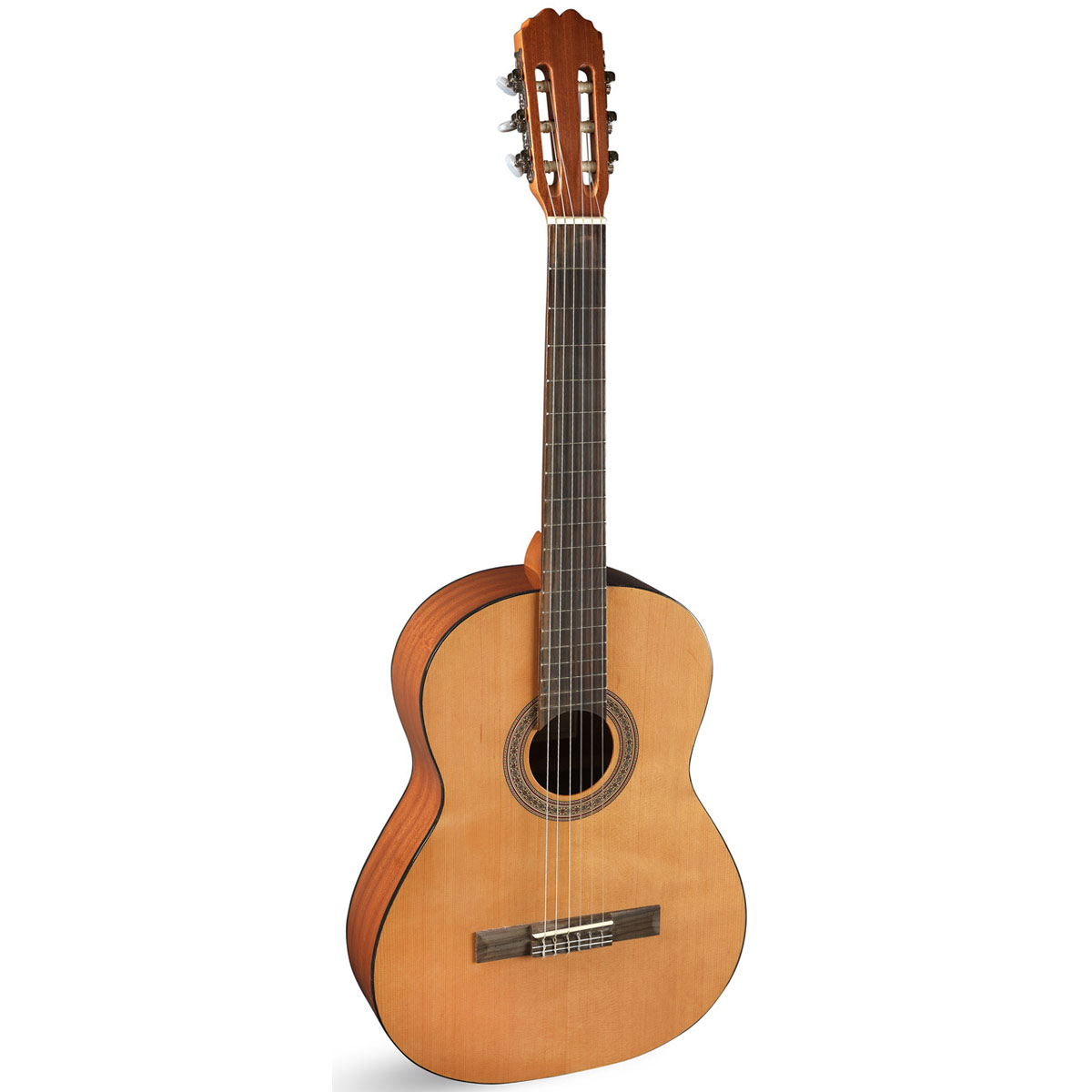Comprar Guitarra de Principiante al mejor precio en Prieto M�sica