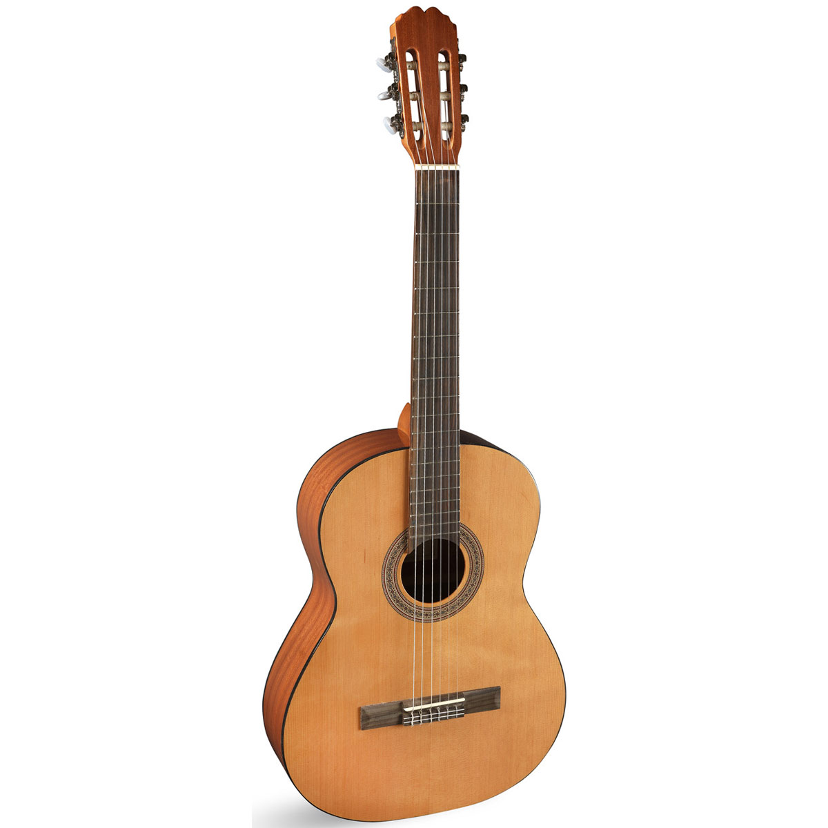 Comprar Guitarra de Principiante al mejor precio en Prieto Msica