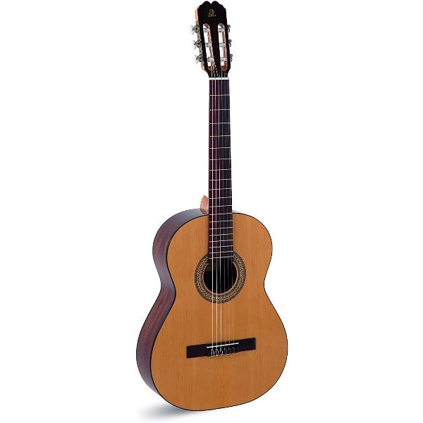 Comprar Guitarra de Principiante al mejor precio en Prieto Msica