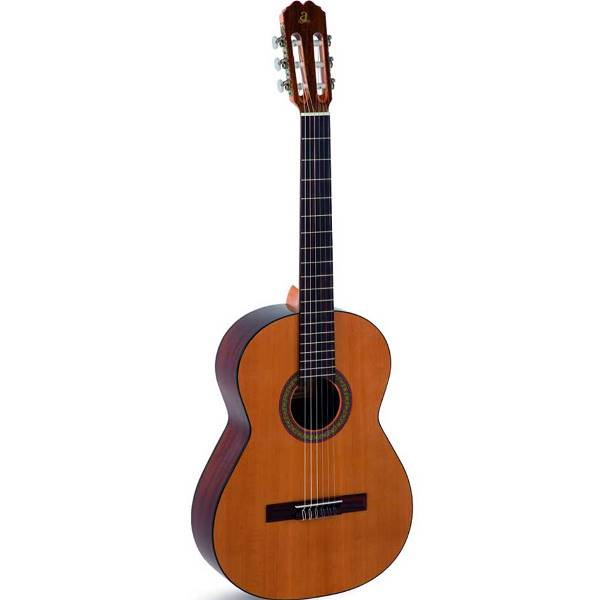 Comprar Guitarra de Principiante al mejor precio en Prieto Msica