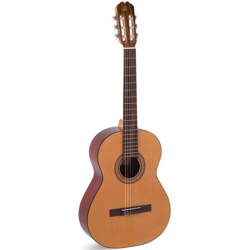 Comprar Guitarra de Principiante al mejor precio en Prieto Msica