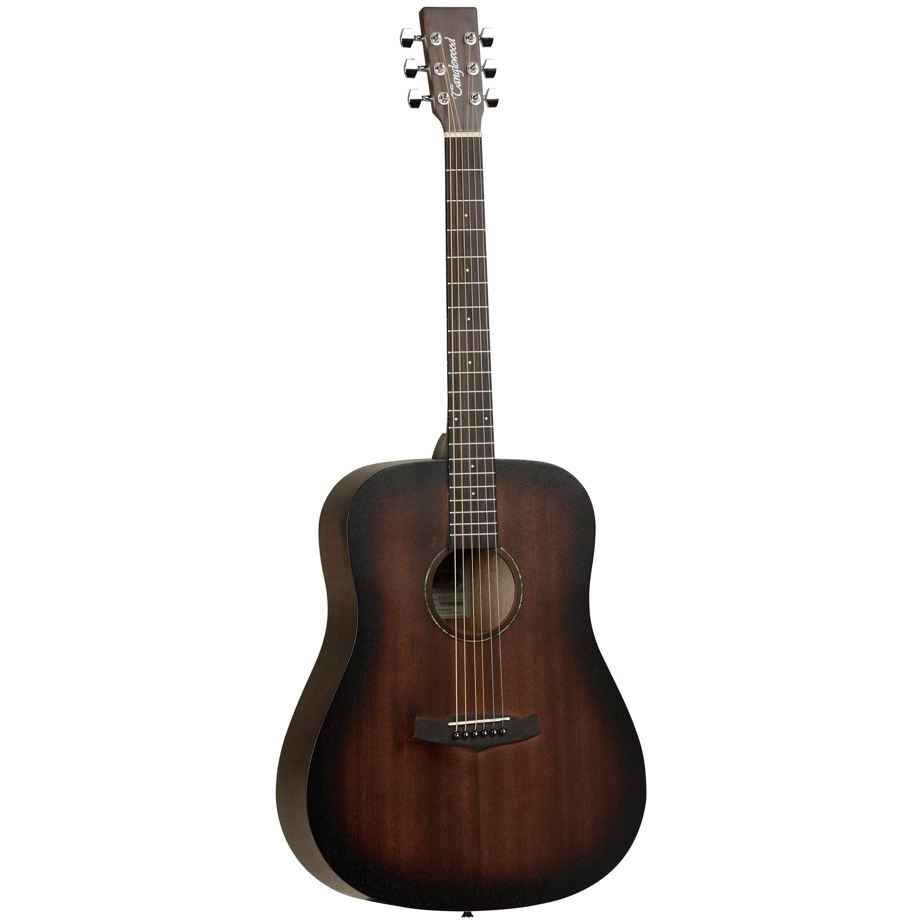 Compra tu Acustica Tanglewood de Calidad en Formato Dreadnought en Prieto Msica